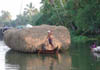 A country boat with hay - backwater scene.