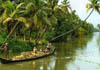 Villagers collecting coconut.