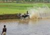 Bullock race - a village scene.