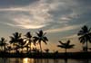 Sunset behing coconut palms.