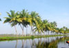 A backwater scene from houseboat.