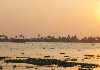 Another Sunset view from a houseboat.