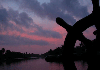 Sunset view from a houseboat.